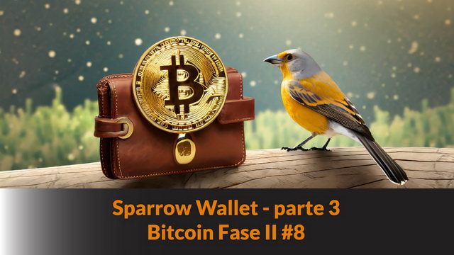 Il portafoglio Sparrow Wallet – parte 3 – (multifirma) – Bitcoin Fase II #8