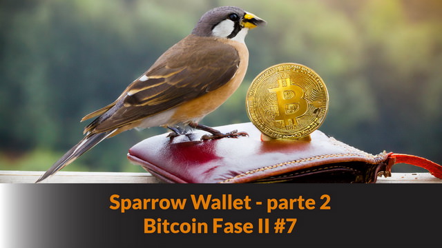 Il portafoglio Sparrow Wallet – parte 2 – Bitcoin Fase II #7