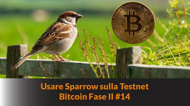Usare Sparrow sulla Testnet – Bitcoin Fase II #14