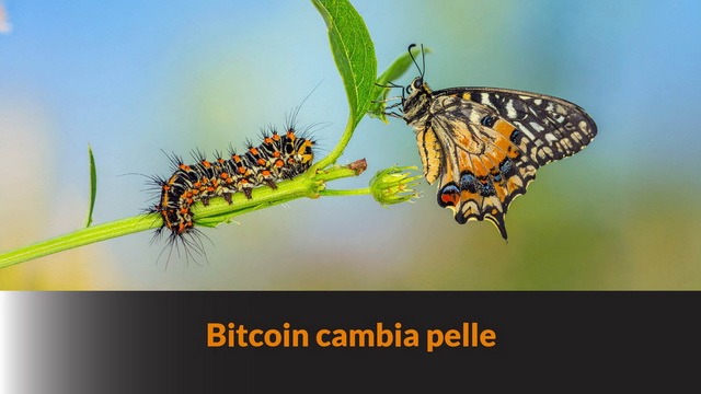 Bitcoin cambia pelle – BLB #45