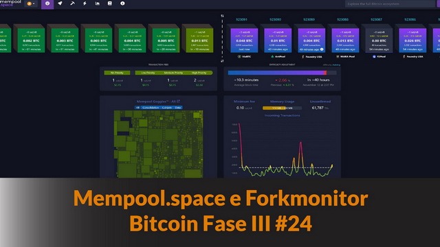 Mempool.space e Forkmonitor – Bitcoin Fase III #24