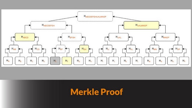Merkle Proof – Bitcoin Fase III #31