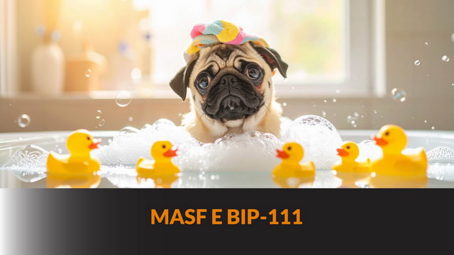 MASF e BIP-111 – Bitcoin Fase III #41